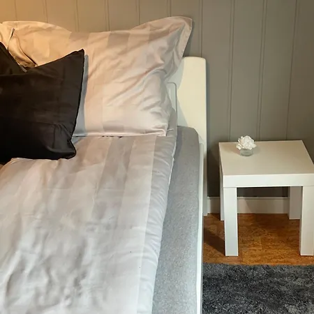 Koselig Oggevatn 度假居